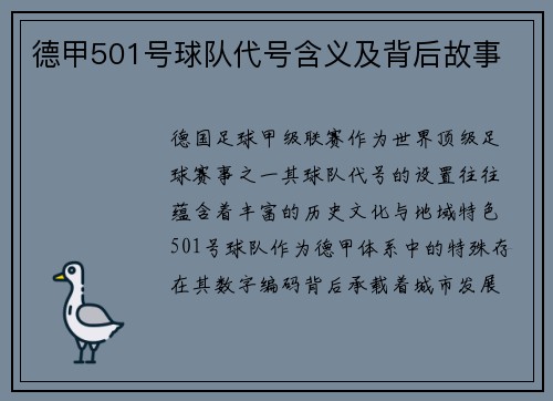 德甲501号球队代号含义及背后故事