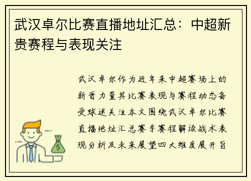 武汉卓尔比赛直播地址汇总：中超新贵赛程与表现关注
