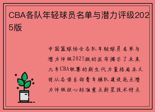 CBA各队年轻球员名单与潜力评级2025版